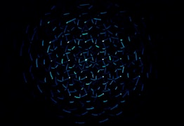 足球比赛直播画面特写，球员带球突破瞬间